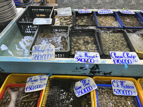 ốc 04.jpg