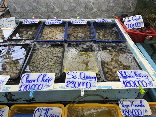 ốc 03.jpg