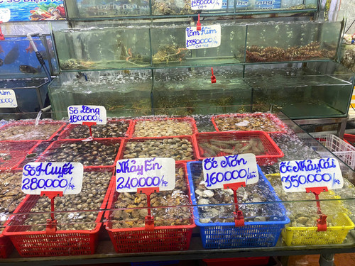 Ốc 07.jpg