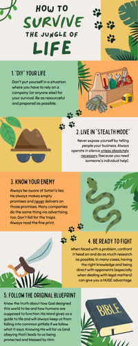 Survival Guide to Life Infographic.png