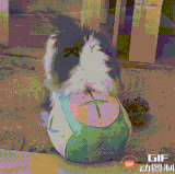 1765680143383.gif