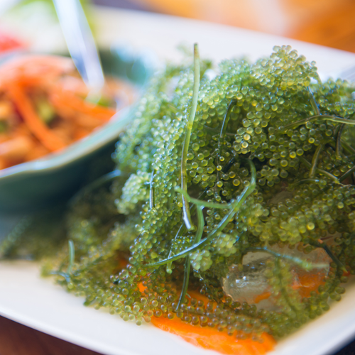 Salad rong nho.png