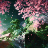 IMG 4478.gif
