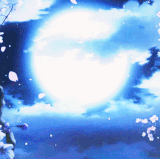 IMG 4489.gif