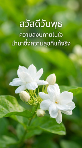 uc?id=1VFner0aItO7wPPgTQGjDHpVbidlAG23J&export=download.jpg