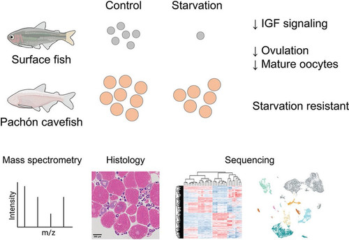 G8FifkyXwAA9fu1.jpg