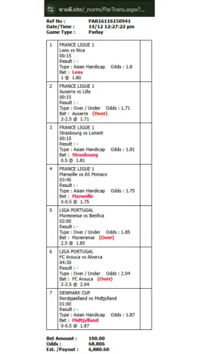 5.webp