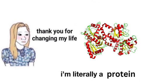 GExwWs3XUAAfeUO?format=jpg.jpg