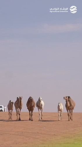 YN9G8 xwjAHcN522.jpg