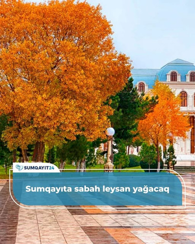 600297478 897271759322798 7813975102307688616 n.jpg?stp=dst jpg s640x640 tt6& nc cat=104& nc cb=99be.jpg