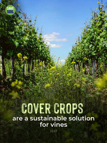 yyNcKanyRUnjIN u.jpg