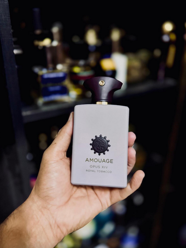 Screenshot 2025 12 14 172140.png