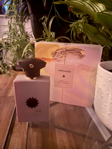 Screenshot 2025 12 14 172243.png