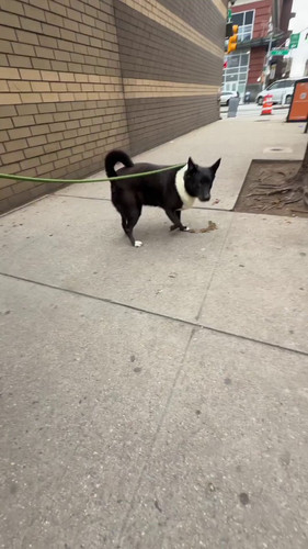 3OLtJ7lmu8g jX6k.jpg