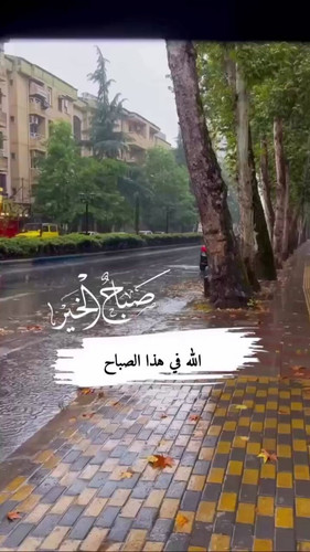 ns8AsFs t5c1Xmti.jpg