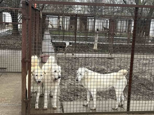 601334239 1782423536034996 1899825313562448360 n.jpg?stp=cp6 dst jpg s590x590 tt6& nc cat=102&ccb=1 .jpg