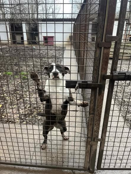 599705295 1782423599368323 9023087407436999302 n.jpg?stp=cp6 dst jpg s590x590 tt6& nc cat=107&ccb=1 .jpg