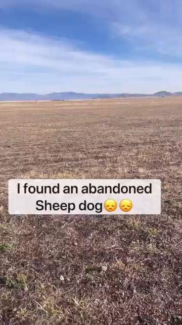 f UWbNccQ4h6XC q.jpg