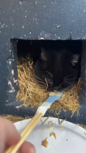 SBm829MD6 KXAz1H.jpg