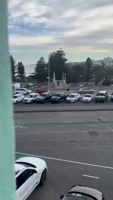 ZTM2sc9TY 6WwYSM.jpg