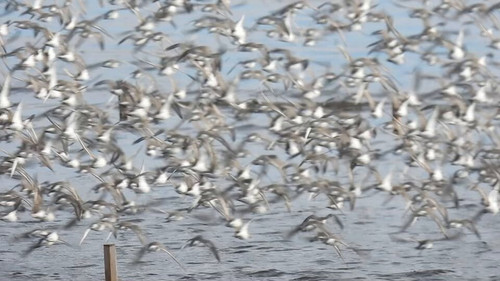 H1WN VT4UeO4ni7e.jpg