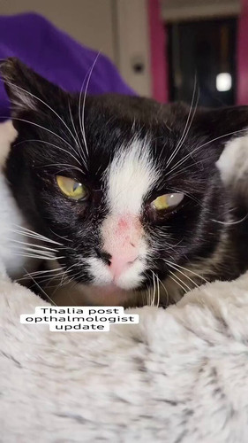 glToHD rQLG5g82T.jpg