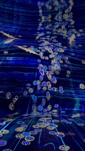 8hJviQIFzApc Ff .jpg