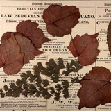 Red Leaf Banner Large