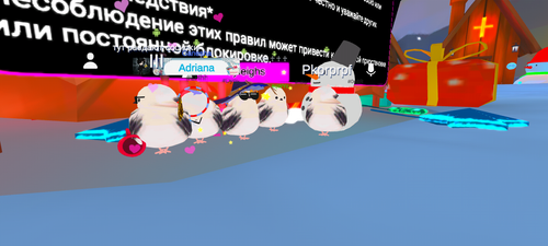 imagen.png