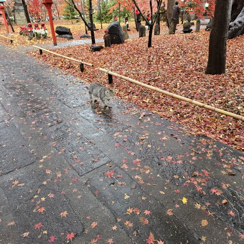 1000064843.jpg