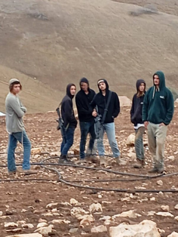 مستوطنون مسلحون يقتحمون منطقة البرج في الأغوار الشمالية...