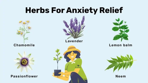 Herbs For Anxiety Relief.png