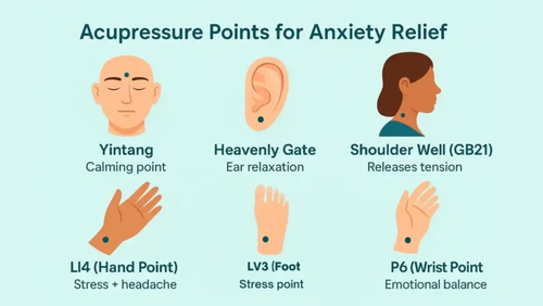 Acupressure Points For Anxiety Relief.png