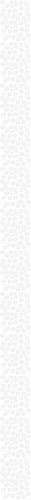 1000008965.png