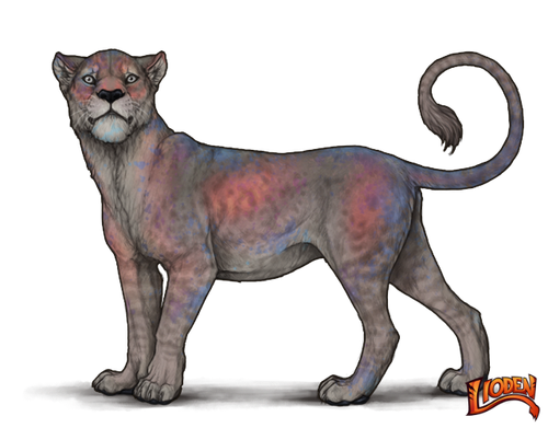 lioden wardrobe (3).png
