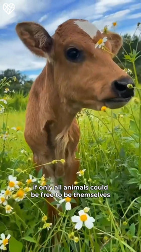 G8E GF3XwAQzJ0I.jpg