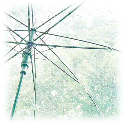 1000090388.png