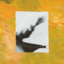 d917693233e2.png