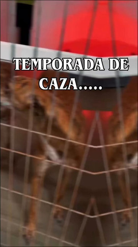 AewXlhgyXCE ZtOo.jpg