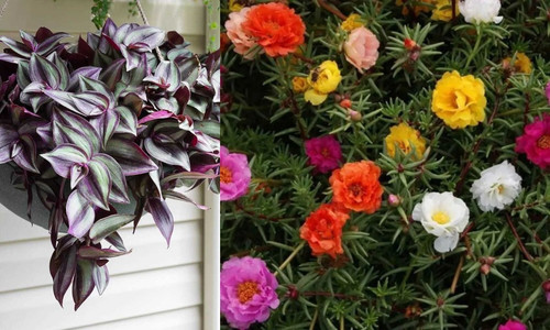 imgonline com ua twotoone mFZ6VlntvOWSgPs.jpg