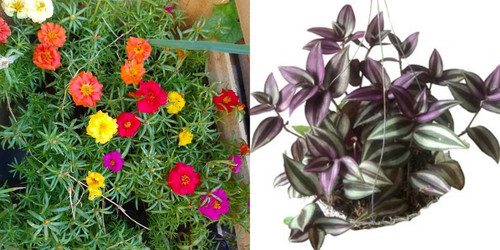 imgonline com ua twotoone w6JToFchxxLbiV3.jpg