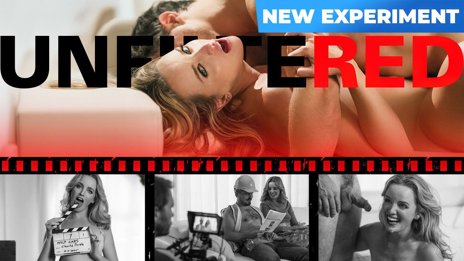 ReptyleLabs 25 12 14 Charlie Forde Unfiltered 3
