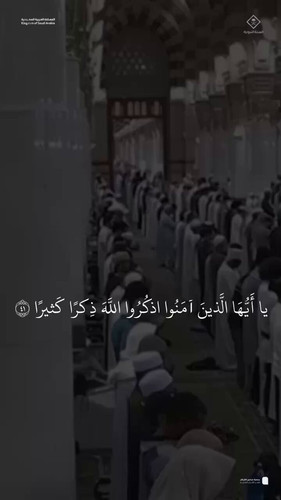 wOKj93qUr8rTe lZ.jpg