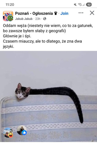 G8DXaUJWgAMOr9Y.jpg