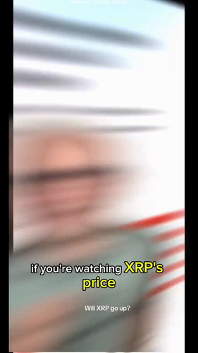 tSVd dMoXd yjVDM.jpg