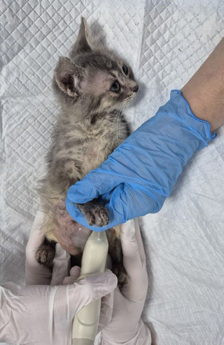 G8DtZOwXgAQX yg.jpg