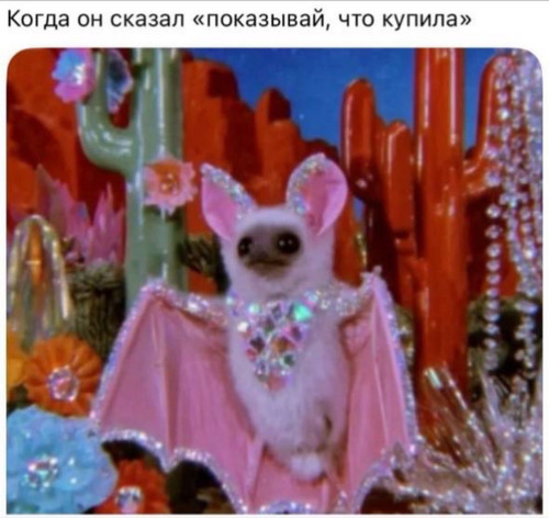 G8EN2 pWMAIvSrG.jpg