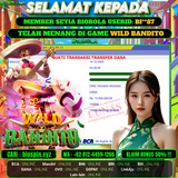 JP WILD BANDITO 13JT DI BAYR LUNAS !!