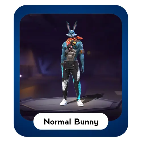 1000136273.webp