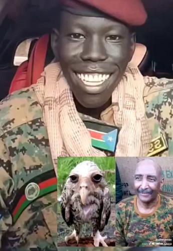 pACnJYzAYT27nfXw.jpg